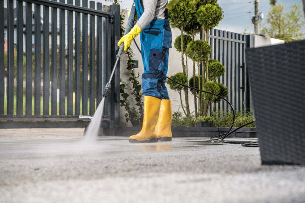Best Fence Cleaning and Maintenance in Steelevle, IL